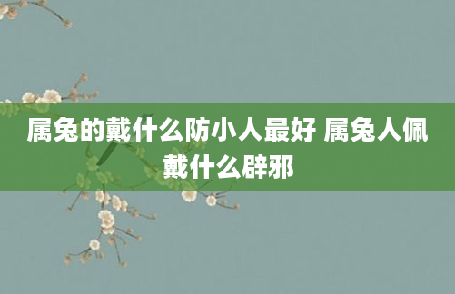 属兔的戴什么防小人最好 属兔人佩戴什么辟邪