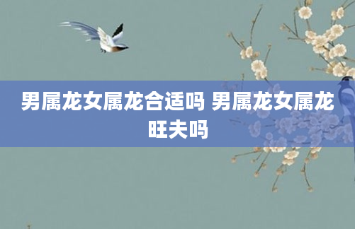 男属龙女属龙合适吗 男属龙女属龙旺夫吗