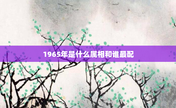 1965年是什么属相和谁最配