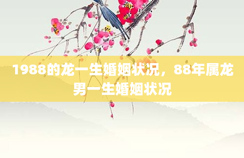 1988的龙一生婚姻状况，88年属龙男一生婚姻状况
