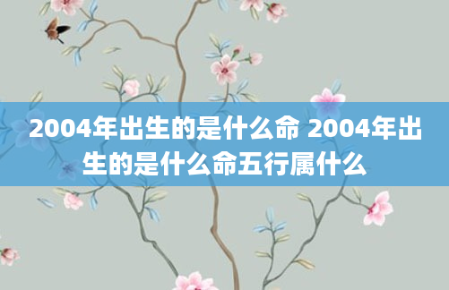 2004年出生的是什么命 2004年出生的是什么命五行属什么