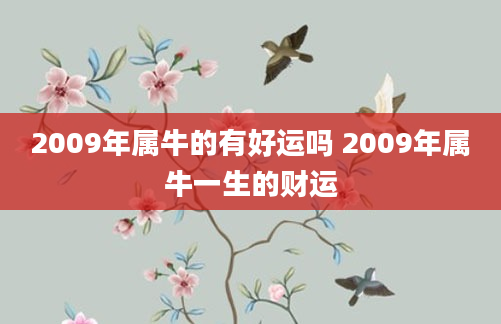 2009年属牛的有好运吗 2009年属牛一生的财运