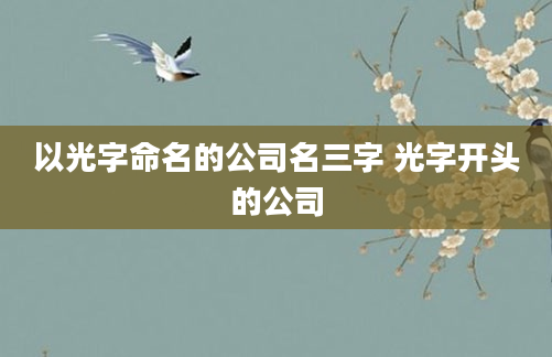 以光字命名的公司名三字 光字开头的公司