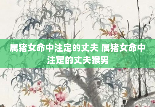 属猪女命中注定的丈夫 属猪女命中注定的丈夫猴男