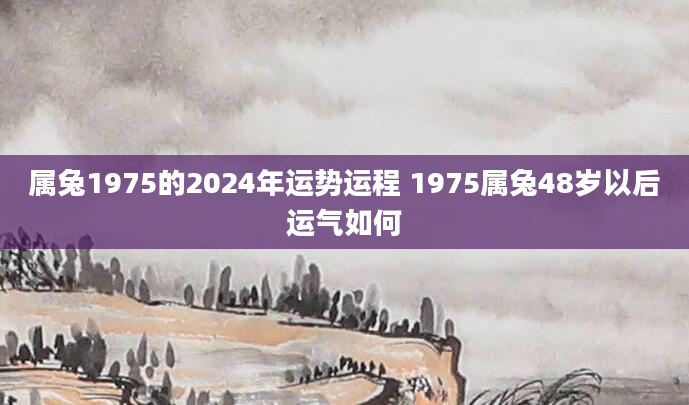 属兔1975的2024年运势运程 1975属兔48岁以后运气如何