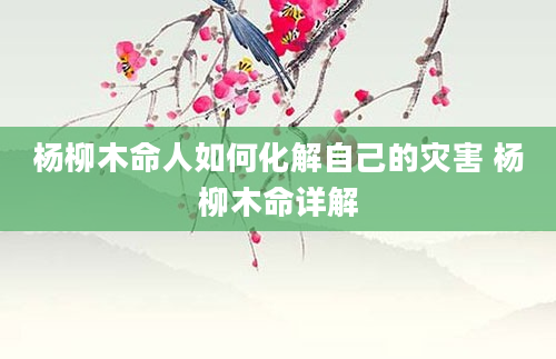 杨柳木命人如何化解自己的灾害 杨柳木命详解