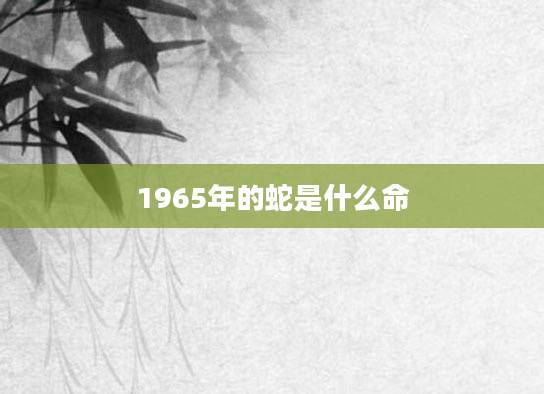 1965年的蛇是什么命
