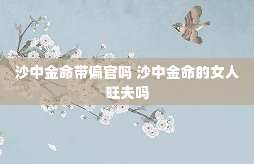 沙中金命带偏官吗 沙中金命的女人旺夫吗