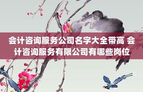会计咨询服务公司名字大全带高 会计咨询服务有限公司有哪些岗位