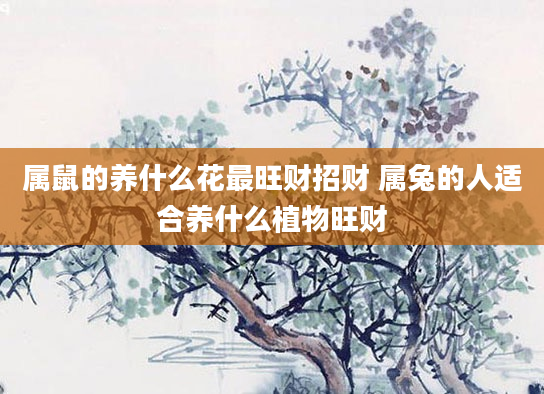 属鼠的养什么花最旺财招财 属兔的人适合养什么植物旺财