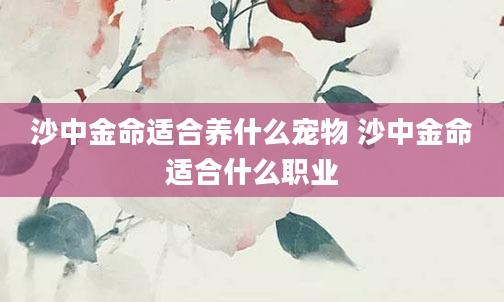 沙中金命适合养什么宠物 沙中金命适合什么职业
