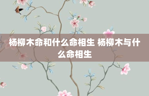 杨柳木命和什么命相生 杨柳木与什么命相生
