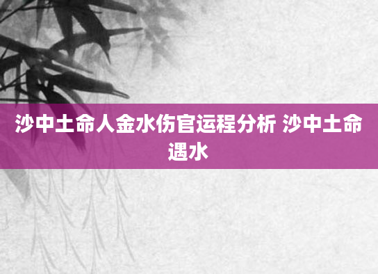 沙中土命人金水伤官运程分析 沙中土命遇水