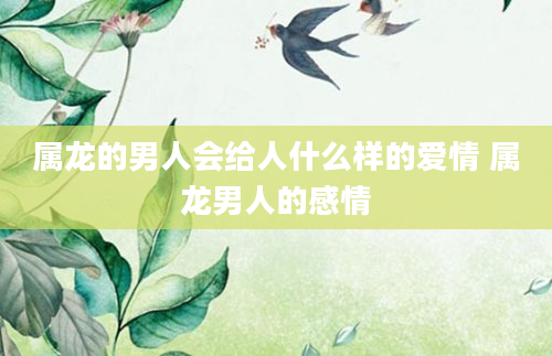属龙的男人会给人什么样的爱情 属龙男人的感情