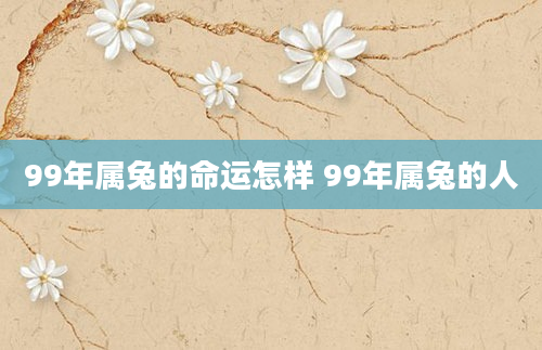 99年属兔的命运怎样 99年属兔的人