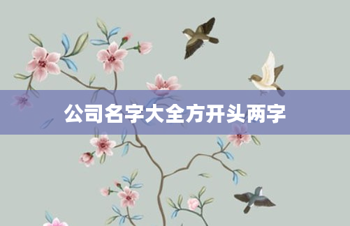 公司名字大全方开头两字