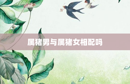 属猪男与属猪女相配吗