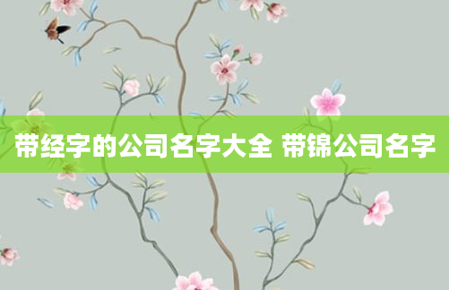 带经字的公司名字大全 带锦公司名字