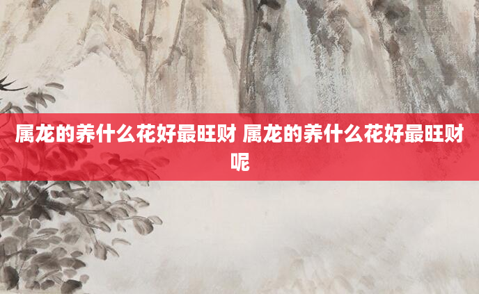 属龙的养什么花好最旺财 属龙的养什么花好最旺财呢