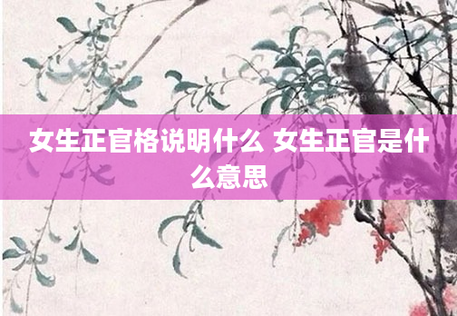 女生正官格说明什么 女生正官是什么意思