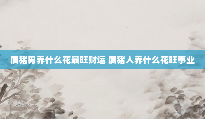 属猪男养什么花最旺财运 属猪人养什么花旺事业