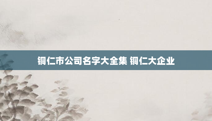 铜仁市公司名字大全集 铜仁大企业