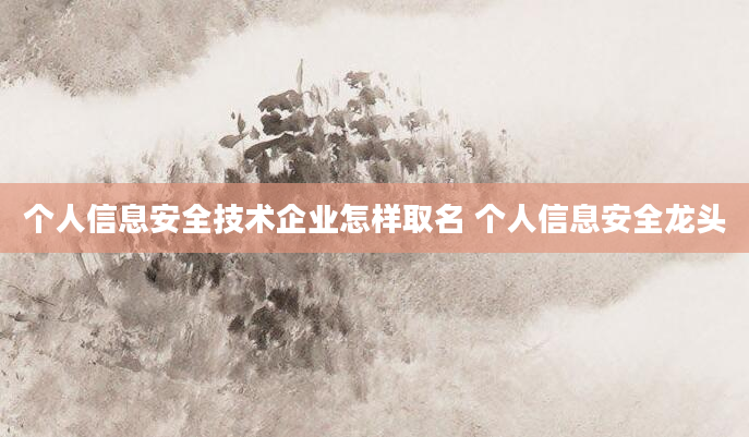 个人信息安全技术企业怎样取名 个人信息安全龙头