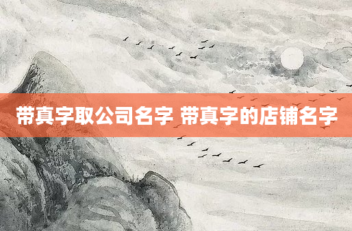 带真字取公司名字 带真字的店铺名字