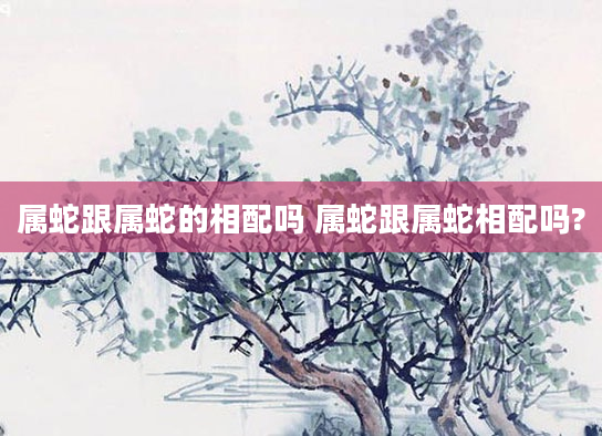 属蛇跟属蛇的相配吗 属蛇跟属蛇相配吗?