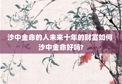 沙中金命的人未来十年的财富如何 沙中金命好吗?