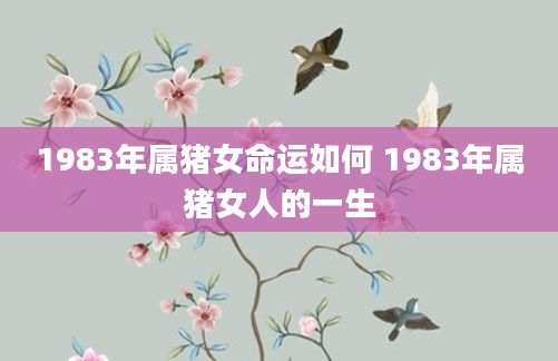 1983年属猪女命运如何 1983年属猪女人的一生