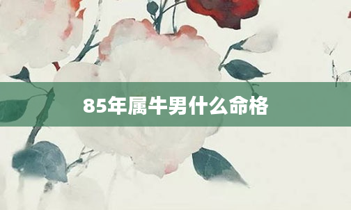 85年属牛男什么命格