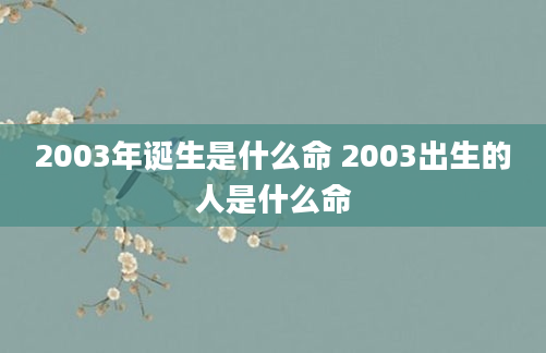 2003年诞生是什么命 2003出生的人是什么命
