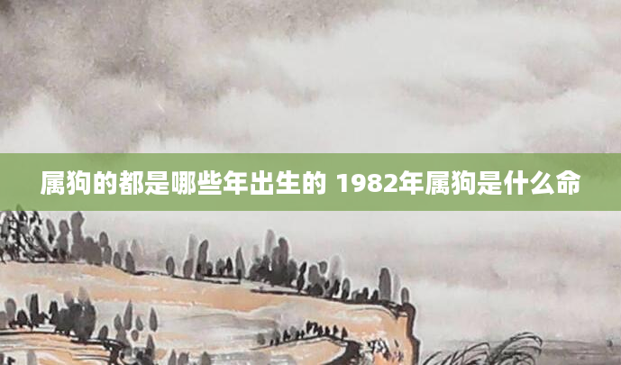 属狗的都是哪些年出生的 1982年属狗是什么命