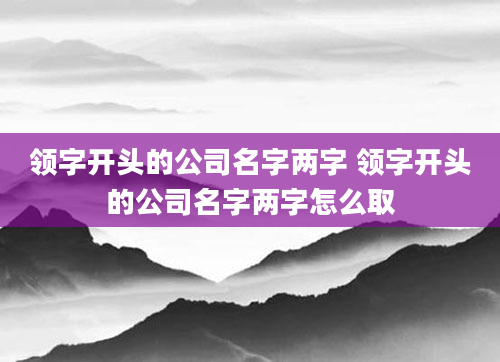 领字开头的公司名字两字 领字开头的公司名字两字怎么取