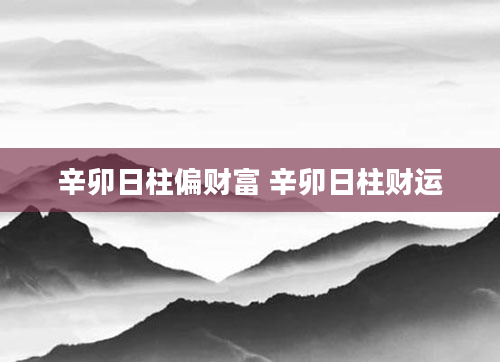 辛卯日柱偏财富 辛卯日柱财运