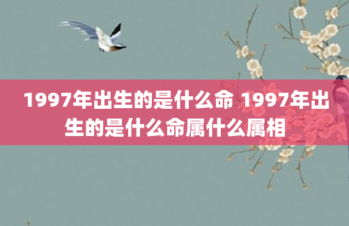 1997年出生的是什么命 1997年出生的是什么命属什么属相
