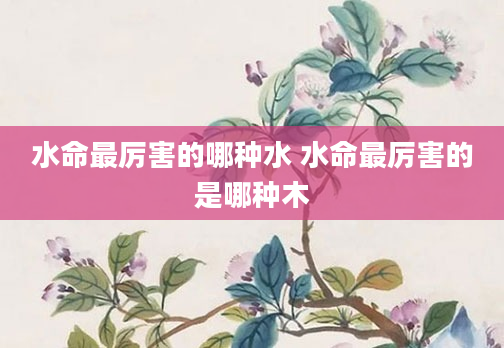 水命最厉害的哪种水 水命最厉害的是哪种木