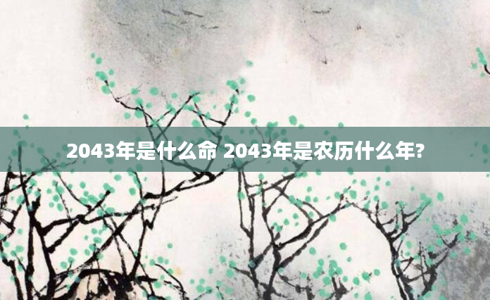2043年是什么命 2043年是农历什么年?