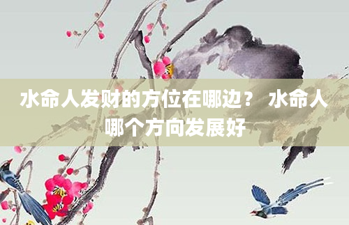 水命人发财的方位在哪边？ 水命人哪个方向发展好
