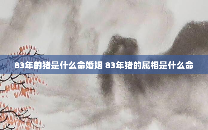 83年的猪是什么命婚姻 83年猪的属相是什么命