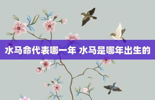 水马命代表哪一年 水马是哪年出生的