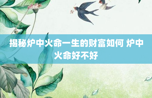 揭秘炉中火命一生的财富如何 炉中火命好不好
