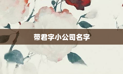 带君字小公司名字