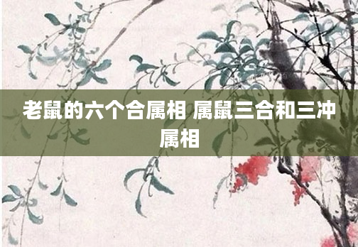 老鼠的六个合属相 属鼠三合和三冲属相