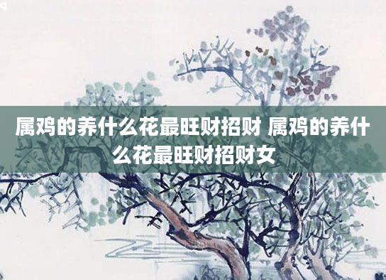 属鸡的养什么花最旺财招财 属鸡的养什么花最旺财招财女