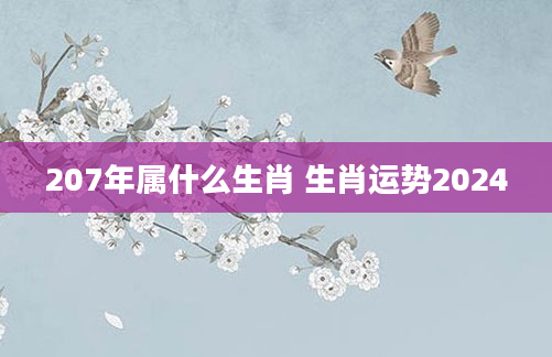 207年属什么生肖 生肖运势2024