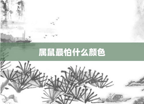 属鼠最怕什么颜色