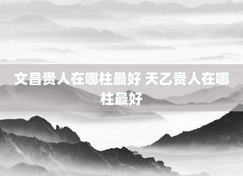 文昌贵人在哪柱最好 天乙贵人在哪柱最好