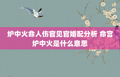 炉中火命人伤官见官婚配分析 命宫炉中火是什么意思